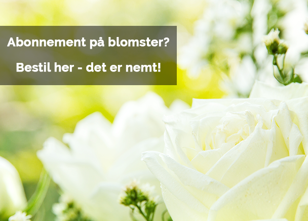 blomsterabonnement