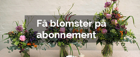 Køb blomster på abonnement